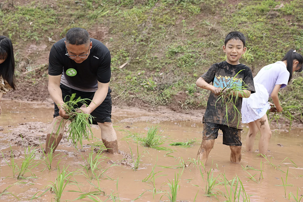 微信图片_20250519103531