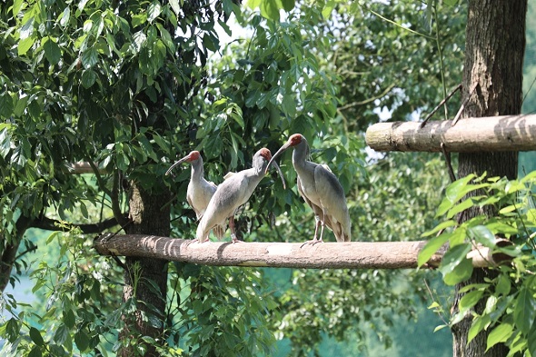 微信图片_20250519103524