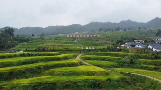 0e84d3ba06a4b9b13f93b47af8d081c