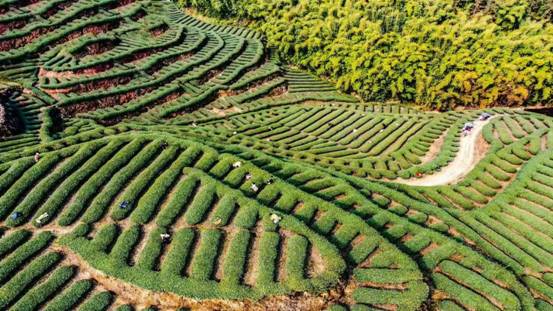 微信图片_20260324101519_7_218