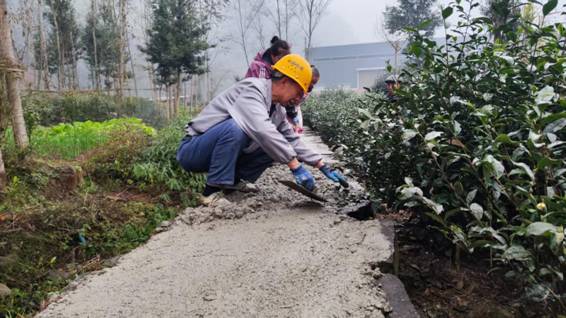 微信图片_20260205144551